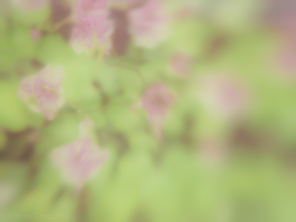 untitled blur